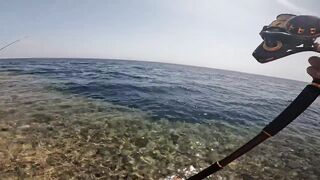 Red Sea Marsa Alam - погоня за скипджек тунцом с берега адреналиновое приключение