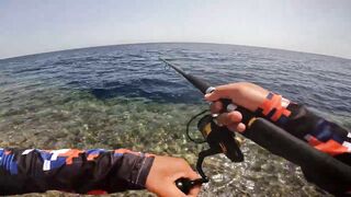 Red Sea Marsa Alam - погоня за скипджек тунцом с берега адреналиновое приключение