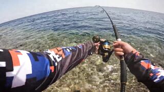 Red Sea Marsa Alam - погоня за скипджек тунцом с берега адреналиновое приключение