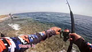 Red Sea Marsa Alam - погоня за скипджек тунцом с берега адреналиновое приключение