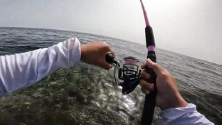 Red Sea Marsa Alam - погоня за скипджек тунцом с берега адреналиновое приключение