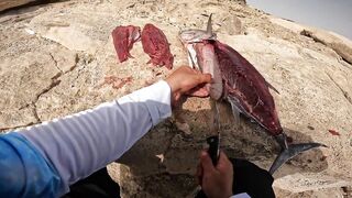 Red Sea Marsa Alam - погоня за скипджек тунцом с берега адреналиновое приключение