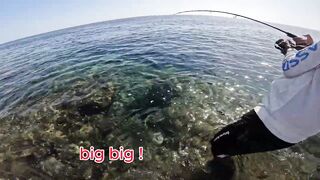 Red Sea Marsa Alam - погоня за скипджек тунцом с берега адреналиновое приключение