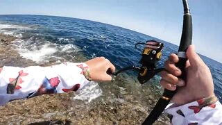 Red Sea Marsa Alam - погоня за скипджек тунцом с берега адреналиновое приключение