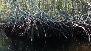 Нуса Лембонган и Нуса Ченинган, Бали самостоятельный маршрут по островам на два дня