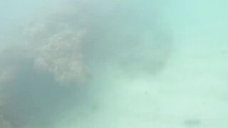 Доминикана Las Terrenas: подводная рыбалка и другие морские развлечения на курорте