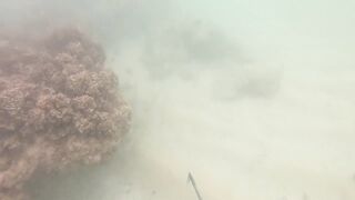 Доминикана Las Terrenas: подводная рыбалка и другие морские развлечения на курорте