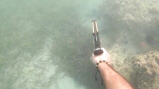 Доминикана Las Terrenas: подводная рыбалка и другие морские развлечения на курорте