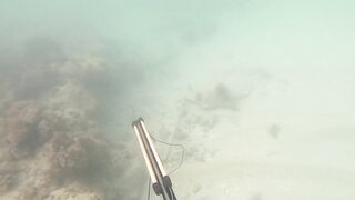 Доминикана Las Terrenas: подводная рыбалка и другие морские развлечения на курорте