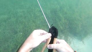 Доминикана Las Terrenas: подводная рыбалка и другие морские развлечения на курорте