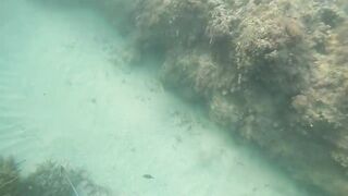 Доминикана Las Terrenas: подводная рыбалка и другие морские развлечения на курорте