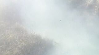 Доминикана Las Terrenas: подводная рыбалка и другие морские развлечения на курорте