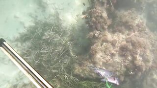 Доминикана Las Terrenas: подводная рыбалка и другие морские развлечения на курорте