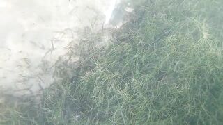 Доминикана Las Terrenas: подводная рыбалка и другие морские развлечения на курорте