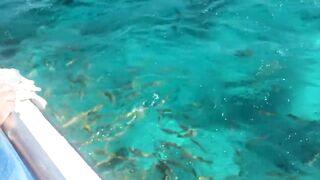 Куба: перелет на кукурузнике над океаном на остров Cayo Largo и дорога к диким пляжам