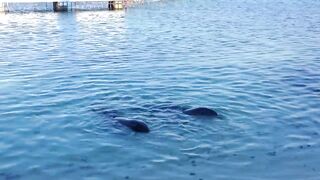 Куба: перелет на кукурузнике над океаном на остров Cayo Largo и дорога к диким пляжам