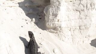 Куба: перелет на кукурузнике над океаном на остров Cayo Largo и дорога к диким пляжам