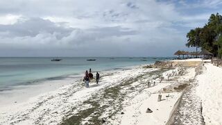 Занзибар 2025 Падже Нунгви Кендва, и мысли о малярии в Африке дорожные заметки