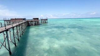 Занзибар 2025 Падже Нунгви Кендва, и мысли о малярии в Африке дорожные заметки