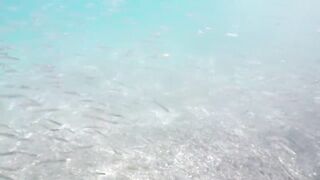 Морская рыбалка в Playa del Coco fly fishing по волне и выезды на лодке у берега Коста-Рики