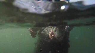 Морская рыбалка в Playa del Coco fly fishing по волне и выезды на лодке у берега Коста-Рики