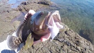 Морская рыбалка в Playa del Coco fly fishing по волне и выезды на лодке у берега Коста-Рики