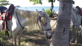 Морская рыбалка в Playa del Coco fly fishing по волне и выезды на лодке у берега Коста-Рики