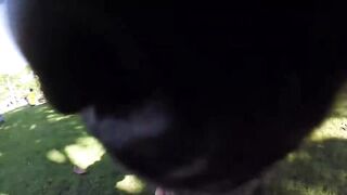 Морская рыбалка в Playa del Coco fly fishing по волне и выезды на лодке у берега Коста-Рики