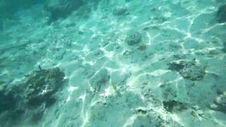 Что можно увидеть под водой на пляжах Занзибара Нунгви и Kendwa и как тут с рыбалкой