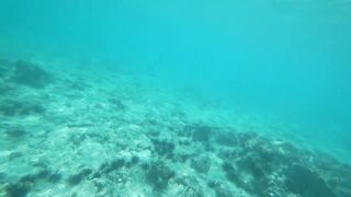 Что можно увидеть под водой на пляжах Занзибара Нунгви и Kendwa и как тут с рыбалкой