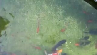 Shanghai эксперимент с drone fishing как запускать снасть с квадрокоптера над водой