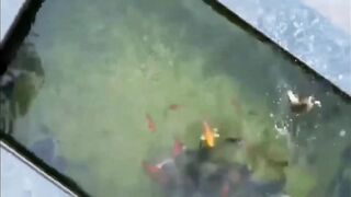 Shanghai эксперимент с drone fishing как запускать снасть с квадрокоптера над водой