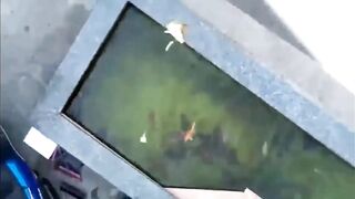 Shanghai эксперимент с drone fishing как запускать снасть с квадрокоптера над водой