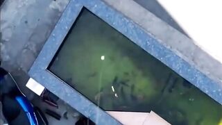 Shanghai эксперимент с drone fishing как запускать снасть с квадрокоптера над водой