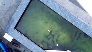 Shanghai эксперимент с drone fishing как запускать снасть с квадрокоптера над водой