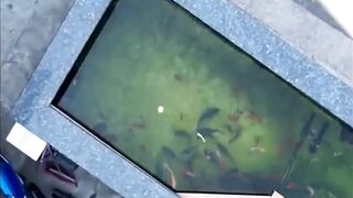 Shanghai эксперимент с drone fishing как запускать снасть с квадрокоптера над водой