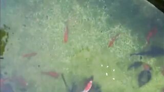 Shanghai эксперимент с drone fishing как запускать снасть с квадрокоптера над водой