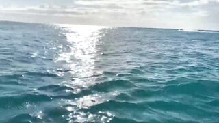 Африка Занзибар пляж Kiwengwa развлечения для туристов и есть ли тут нормальная рыбалка