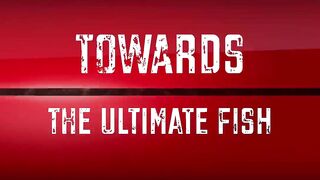 Морская рыбалка в Salalah Oman выезд в Аравийское море за тунцом и другой океанской рыбой