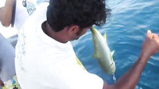 Морская рыбалка в Salalah Oman выезд в Аравийское море за тунцом и другой океанской рыбой