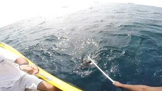 Морская рыбалка в Salalah Oman выезд в Аравийское море за тунцом и другой океанской рыбой