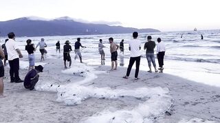 Vietnam Da Nang местные ловят рыбу прямо с пляжа и стоит ли пробовать так же туристу