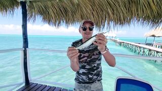 Морская рыбалка: Cayo Guillermo Куба трофейные выезды по весне 2023 года