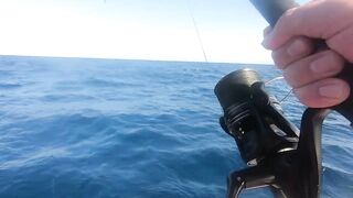 Морская рыбалка на Занзибаре троллинг у пляжей Kendwa и Kiwengwa в Индийском океане