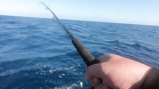 Морская рыбалка на Занзибаре троллинг у пляжей Kendwa и Kiwengwa в Индийском океане