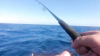 Морская рыбалка на Занзибаре троллинг у пляжей Kendwa и Kiwengwa в Индийском океане