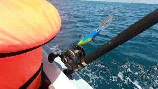 Морская рыбалка на Занзибаре троллинг у пляжей Kendwa и Kiwengwa в Индийском океане