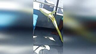 Морская рыбалка на Занзибаре троллинг у пляжей Kendwa и Kiwengwa в Индийском океане