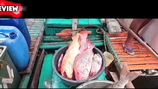 Coron Palawan морепродукты на месте дешевле ли здесь есть рыбу чем ловить самому?