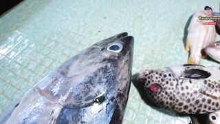 Coron Palawan морепродукты на месте дешевле ли здесь есть рыбу чем ловить самому?